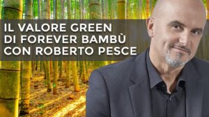 Perché il bambù fa bene all'ambiente