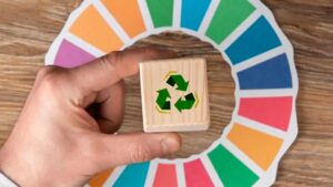 Report di sostenibilità: cos'è, come viene utilizzato e perché farlo