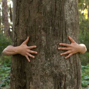 Giornata-degli-Alberi-2024-una-Celebrazione-del-Futuro